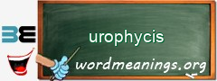 WordMeaning blackboard for urophycis